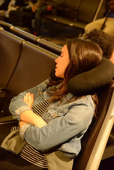 DSC_7429 (Large).JPG